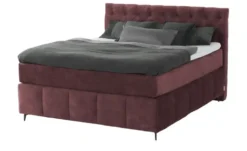 Jette Home Boxspringbett Glam New