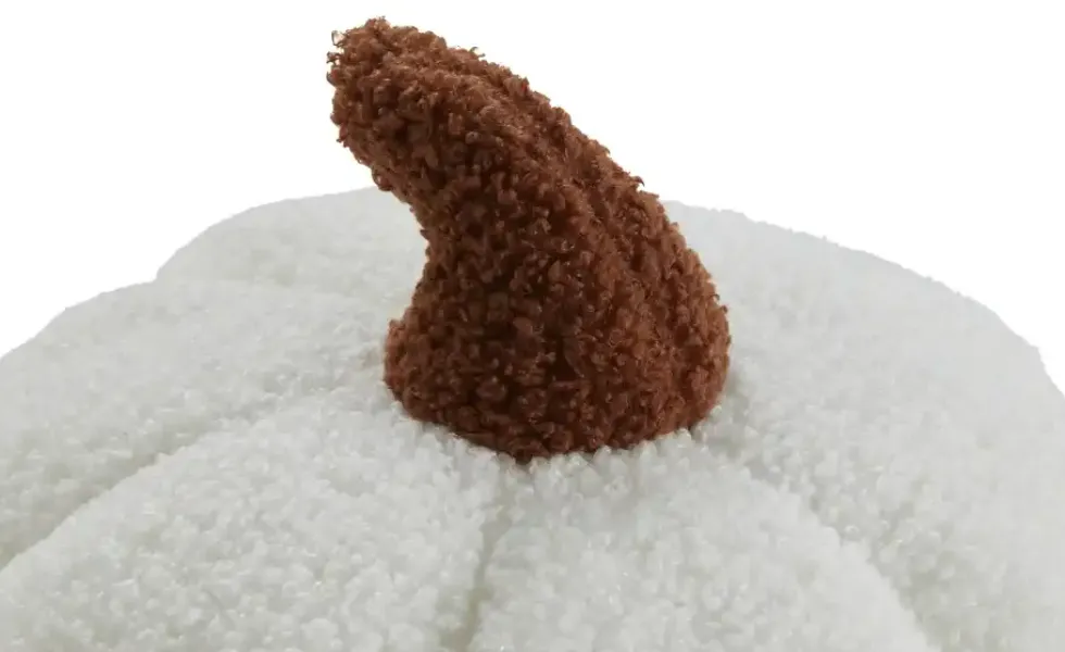 Kissen Kürbis