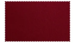 Kissen Zweige und Beeren