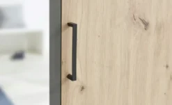 Kleiderschrank 3-türig Caterton