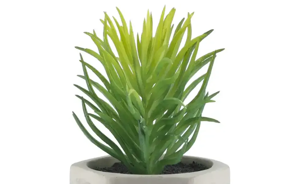 Kunstblume Sukkulente