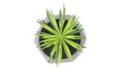 Kunstblume Sukkulente