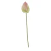 Kunstblume Anthurium