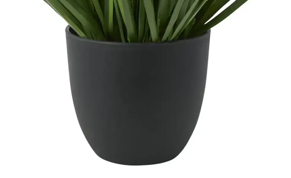 Lavendel getopft