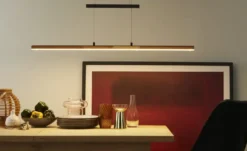 LED-Pendelleuchte