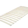 Lifetime Rollrost Standard