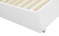 Lifetime Rollrost Standard