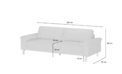 Max Schelling Ledersofa mit Winkelfüßen Maximum