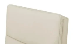 meinSofa Drehsessel aus Leder Franzi