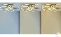Meisterleuchten LED-Deckenleuchte messing-matt