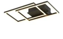 Meisterleuchten LED-Deckenleuchte 2-flammig, schwarz mit Fernbedienung