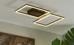 Meisterleuchten LED-Deckenleuchte 2-flammig, schwarz mit Fernbedienung