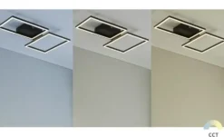 Meisterleuchten LED-Deckenleuchte 2-flammig, schwarz mit Fernbedienung