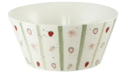Müslischale
