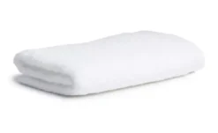 Möve Badetuch