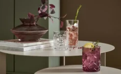 Nachtmann Whiskygläser 2er Set Noblesse