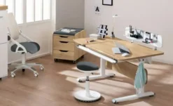 PAIDI Funktionsboard zum Schreibtisch Zubehör Schoolworld