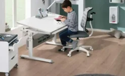 PAIDI Schreibtischleuchte Para.Mi