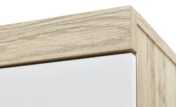 PAIDI Kleiderschrank Remo