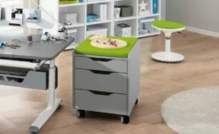 PAIDI Rollcontainer Jaro
