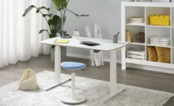 PAIDI Schreibtisch e-lion