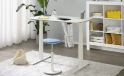 PAIDI Schreibtisch e-lion