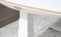 PAIDI Schreibtisch e-lion