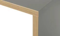 PAIDI Schreibtisch Sten