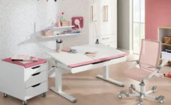 PAIDI Schreibtisch Teenio