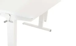 PAIDI Schreibtisch Teenio