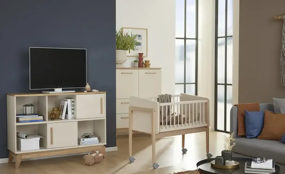 PAIDI Sideboard Stiene