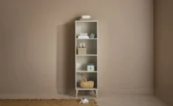 PAIDI Standregal Jonte