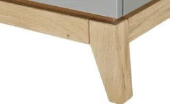 PAIDI Standregal Sten