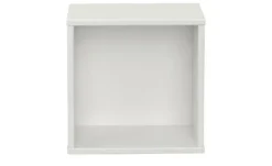 PAIDI Wandbox Enie