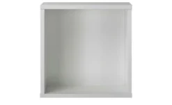 PAIDI Wandbox Kira