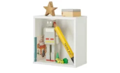 PAIDI Wandbox Kira