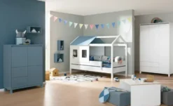 PAIDI Wandbox Olli