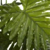 Palme getopft