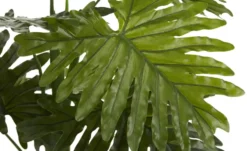 Palme getopft