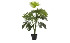 Palme getopft