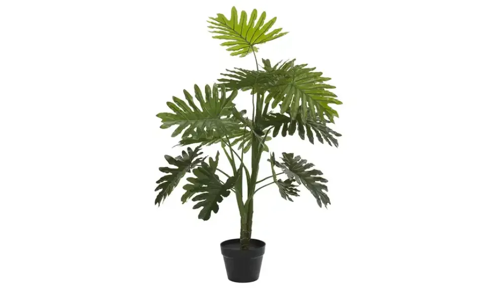 Palme getopft