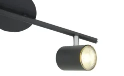 Paul Neuhaus Deckenstrahler, 2-flammig, schwarz