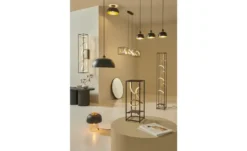 Paul Neuhaus LED-Deckenleuchte schwarz/goldfarben Selina