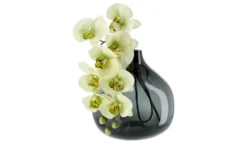 Peill+Putzler Vase
