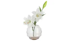 Peill+Putzler Vase