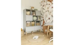 pinio Regal Swing