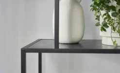 Regal Seano