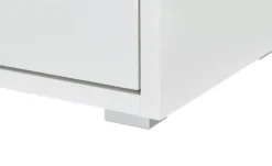 Regal Tarent