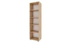 Regal Ulas