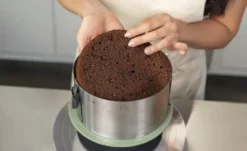 Sallys Tortenring Sallys